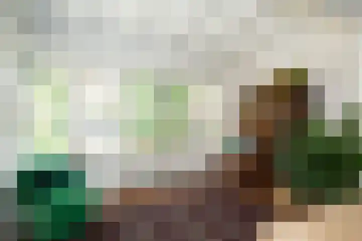 Uiverlaan 7 Eindhoven thumbnail 23