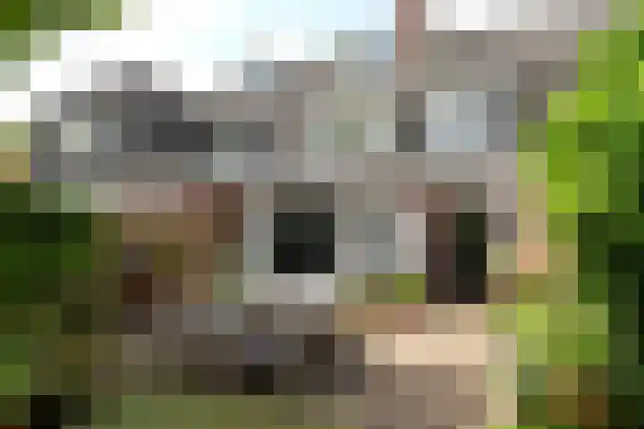 Uiverlaan 7 Eindhoven thumbnail 41