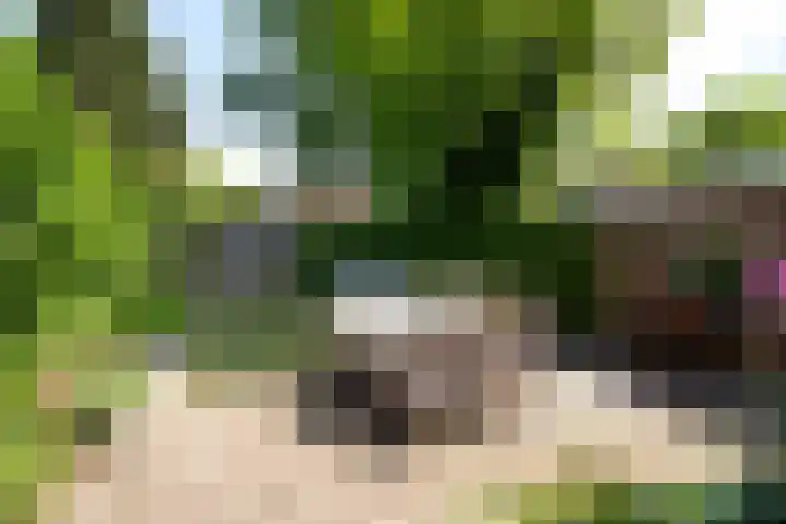 Uiverlaan 7 Eindhoven thumbnail 42