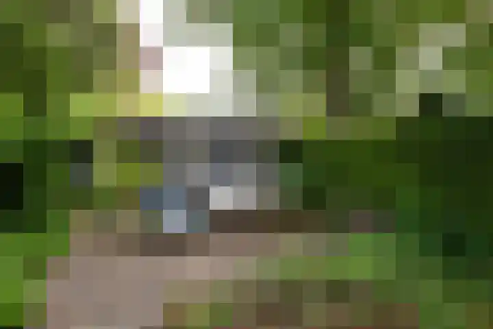 Uiverlaan 7 Eindhoven thumbnail 43