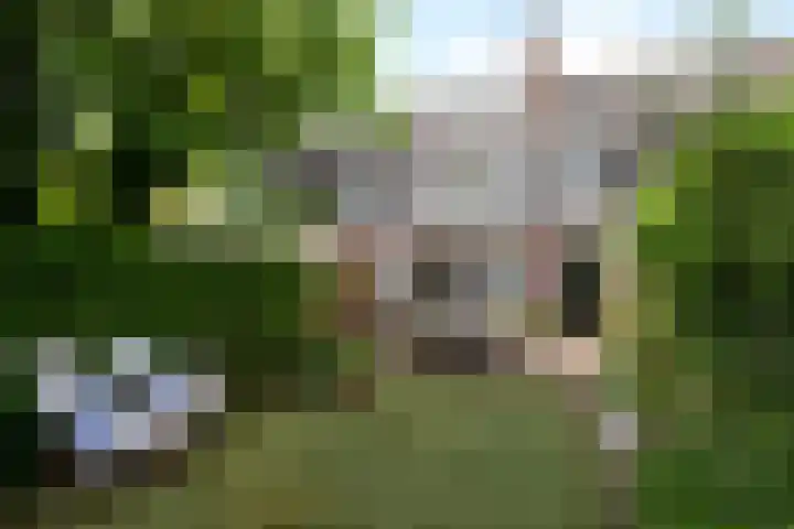Uiverlaan 7 Eindhoven thumbnail 45