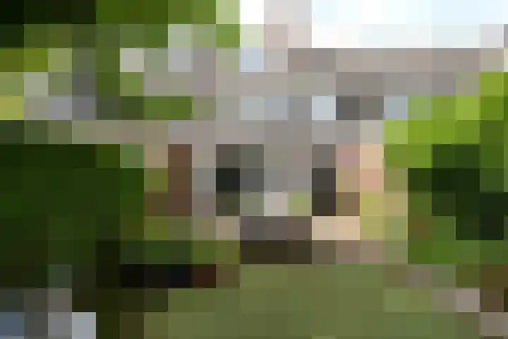 Uiverlaan 7 Eindhoven thumbnail 46