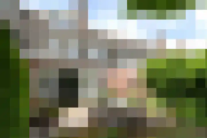 Uiverlaan 7 Eindhoven thumbnail 47