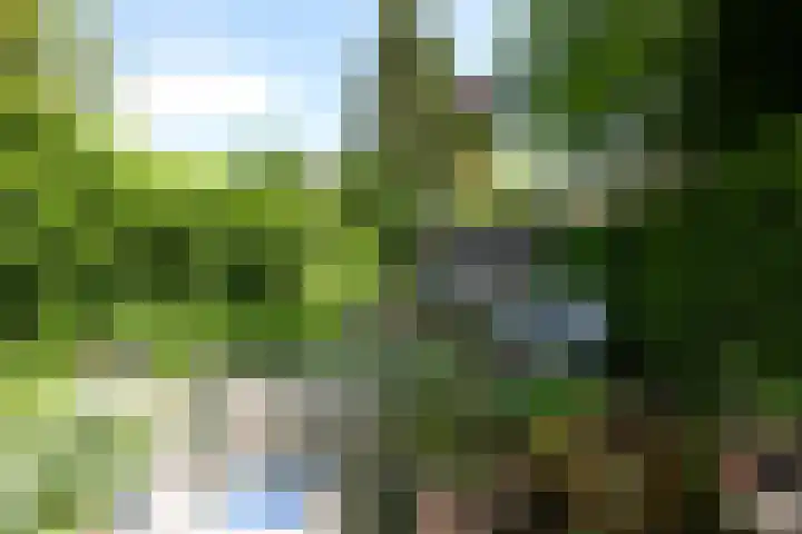 Uiverlaan 7 Eindhoven thumbnail 48