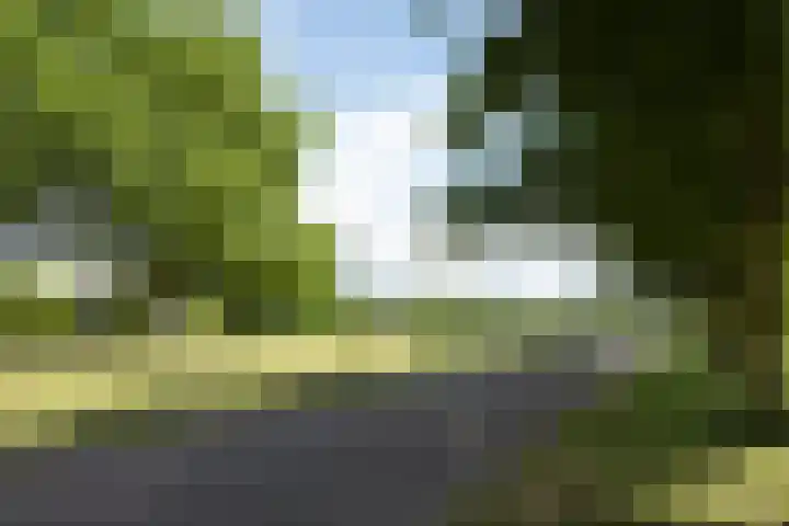 Uiverlaan 7 Eindhoven thumbnail 50