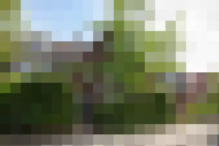 Uiverlaan 7 Eindhoven thumbnail 6