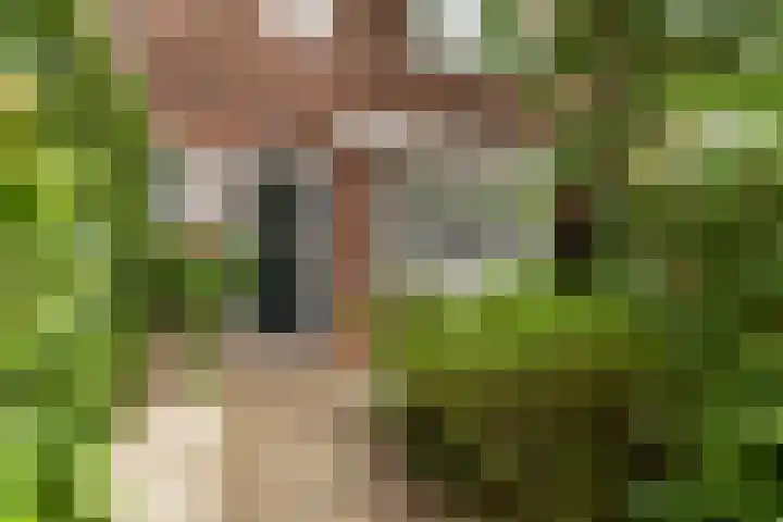 Uiverlaan 7 Eindhoven thumbnail 7