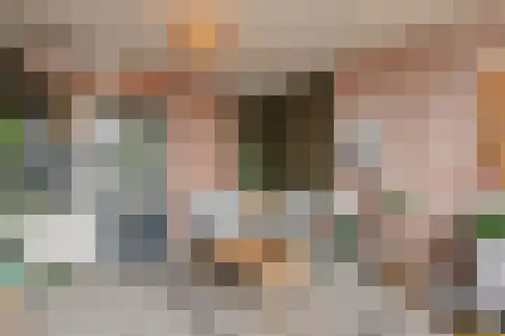 Uivernest 30 b Huissen thumbnail 16
