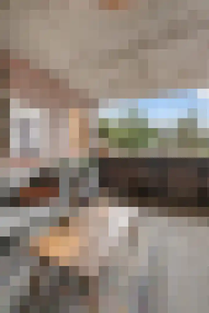 Uivernest 30 b Huissen thumbnail 18
