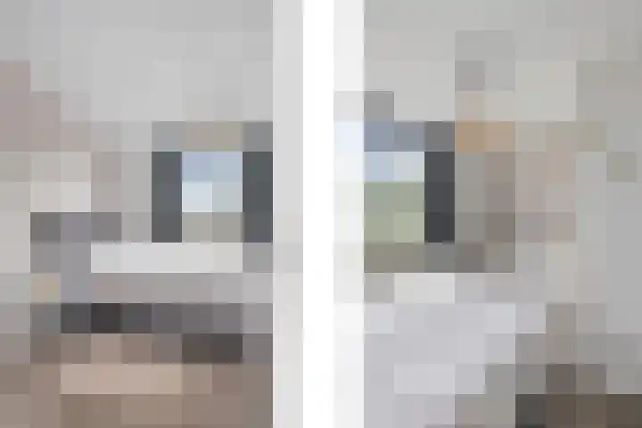 Uivernest 30 b Huissen thumbnail 20