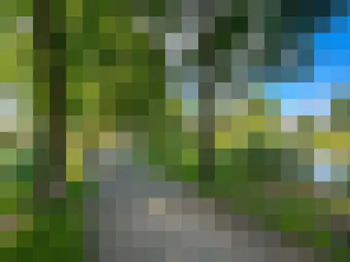 Uivernest 30 b Huissen thumbnail 33