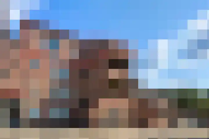 Uivernest 30 d Huissen thumbnail 22