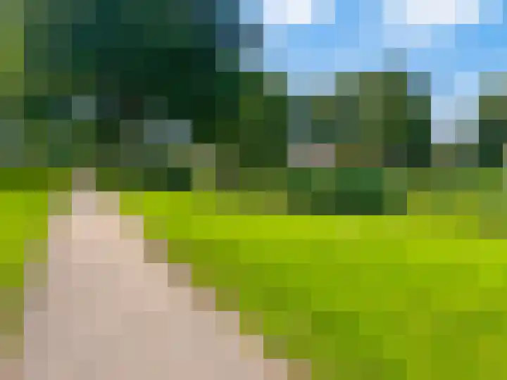 Uivernest 30 d Huissen thumbnail 24