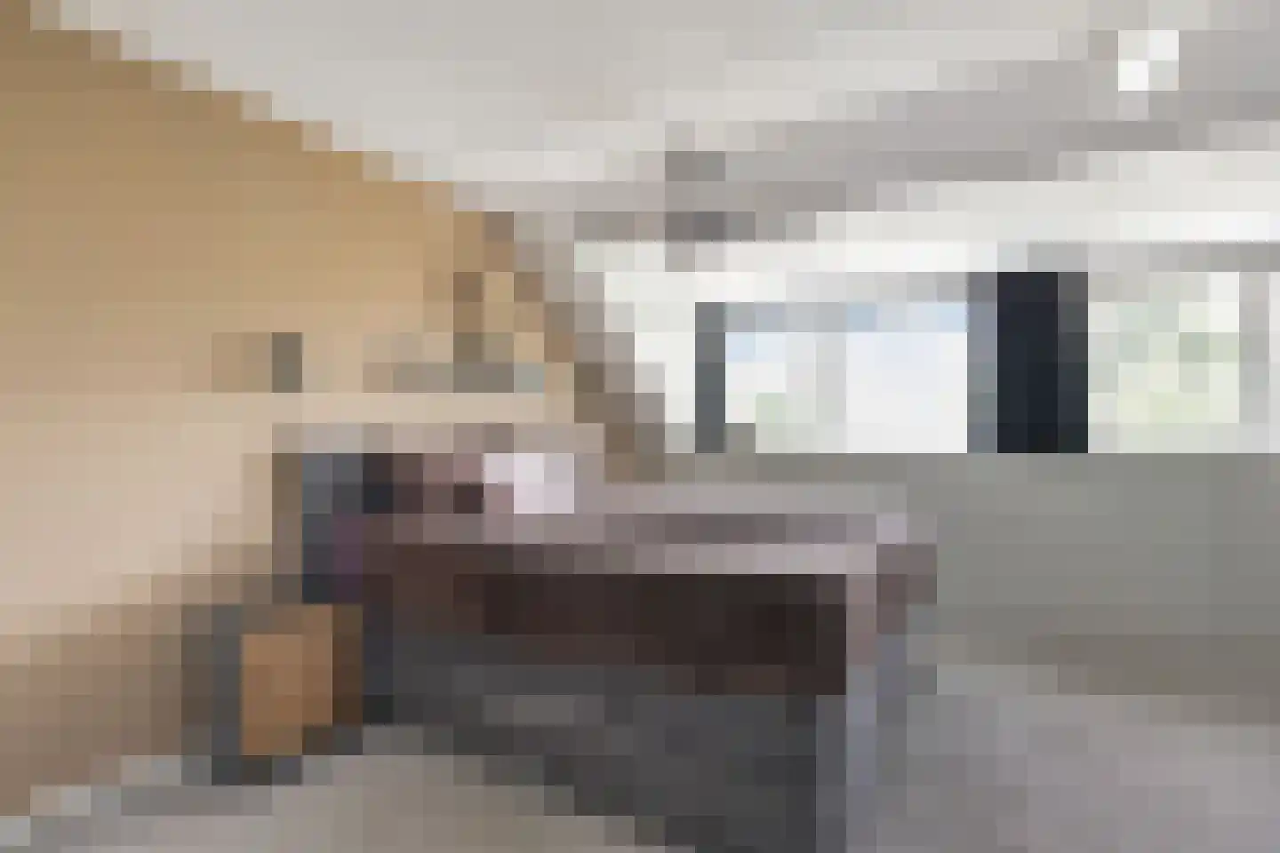 Uivernest 35 Huissen thumbnail 17