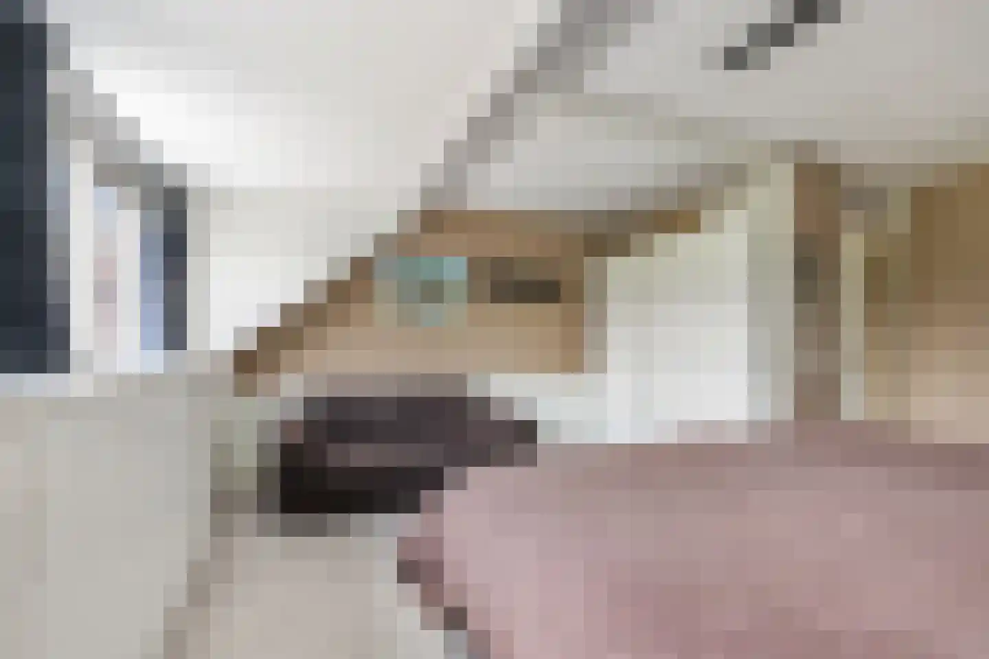 Uivernest 35 Huissen thumbnail 18