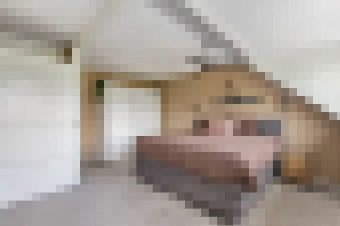 Uivernest 35 Huissen thumbnail 19