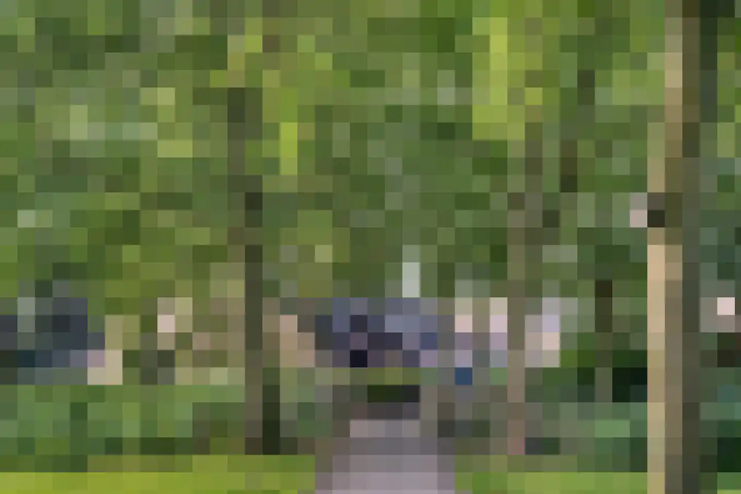 Uivernest 35 Huissen thumbnail 26