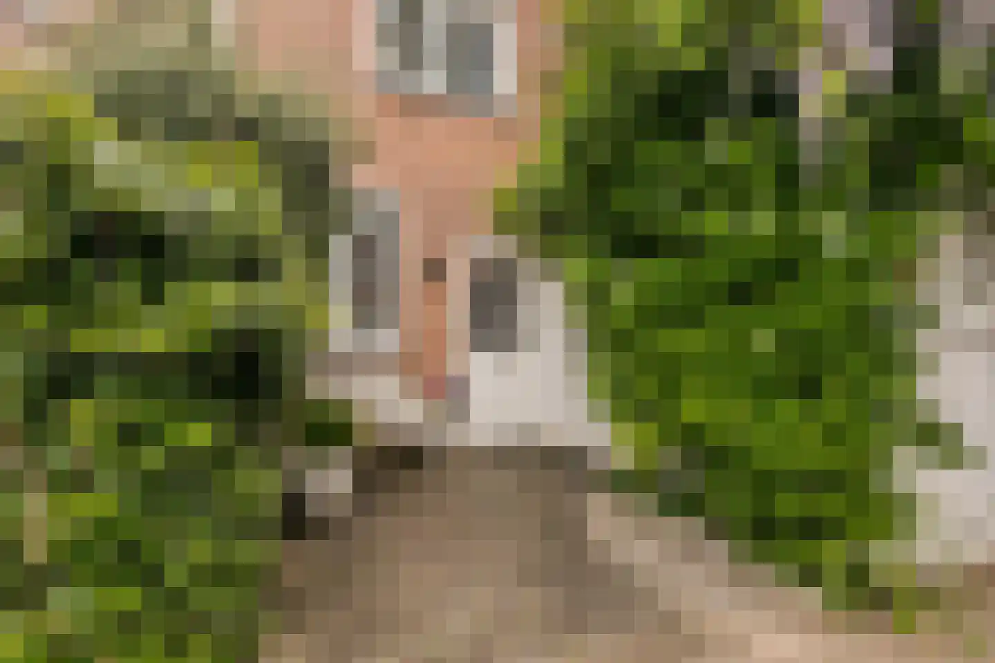 Uivernest 35 Huissen thumbnail 4