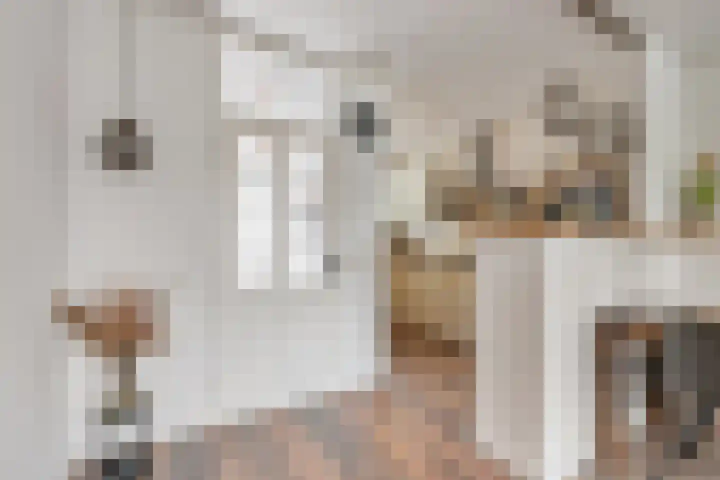 Uivernest 35 Huissen thumbnail 9