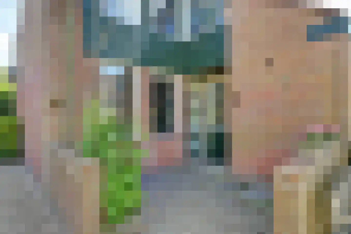 Uiverplantsoen 4 Anna Paulowna thumbnail 5