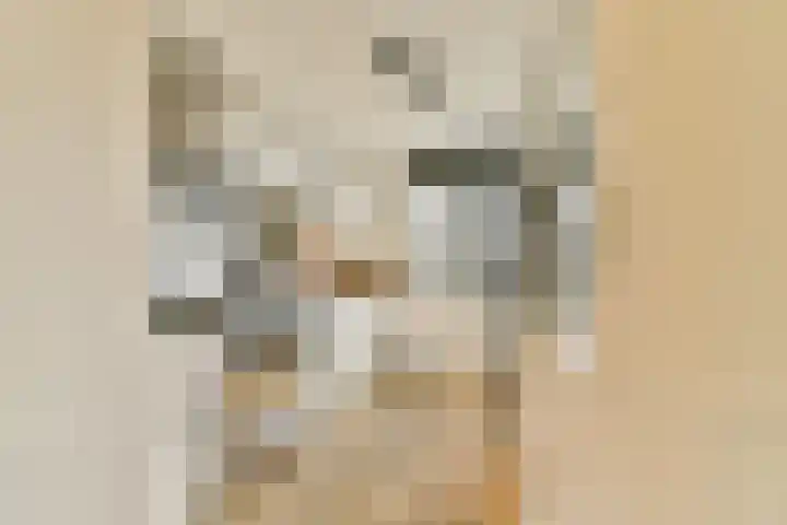 Uiverplein 1 Gouda thumbnail 14