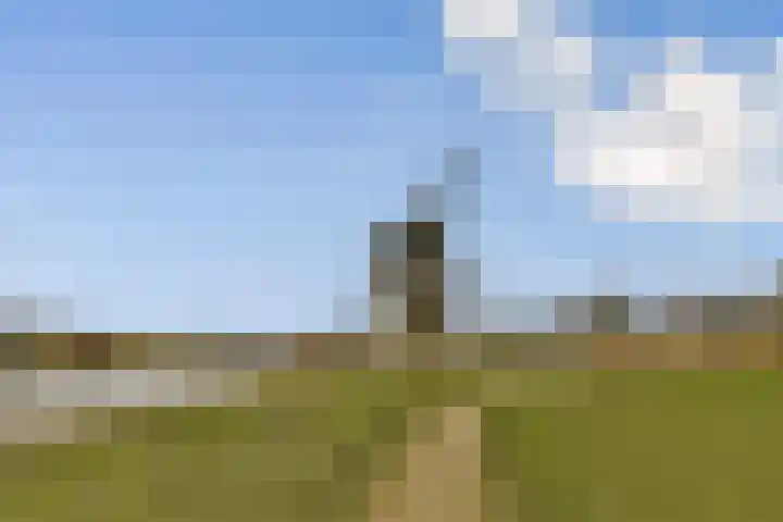 Uiverplein 1 Gouda thumbnail 34