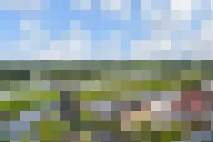 Uiverplein 126 Gouda thumbnail 33