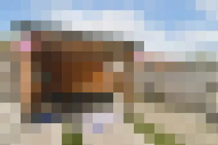 Uiverplein 17 Gouda thumbnail 36