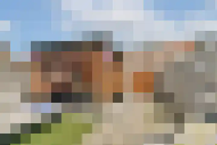 Uiverplein 17 Gouda thumbnail 4
