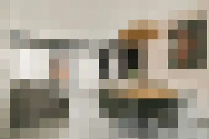 Uiverplein 17 Gouda thumbnail 8