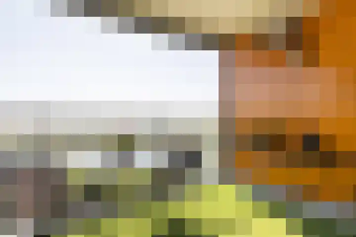 Uiverplein 204 Gouda thumbnail 18