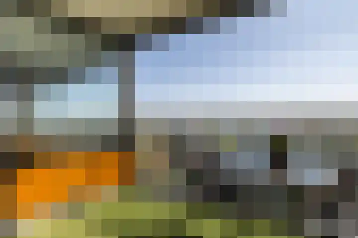 Uiverplein 204 Gouda thumbnail 19