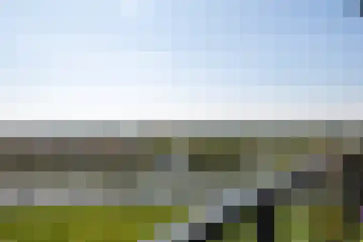 Uiverplein 204 Gouda thumbnail 20