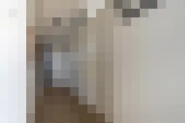 Uiverplein 204 Gouda thumbnail 23