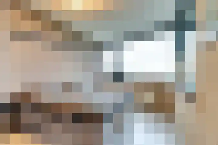 Uiverplein 212 Gouda thumbnail 18