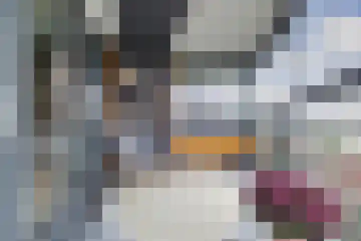 Uiverplein 212 Gouda thumbnail 27