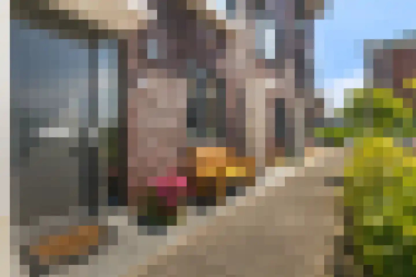 Uiverplein 33 Gouda thumbnail 6