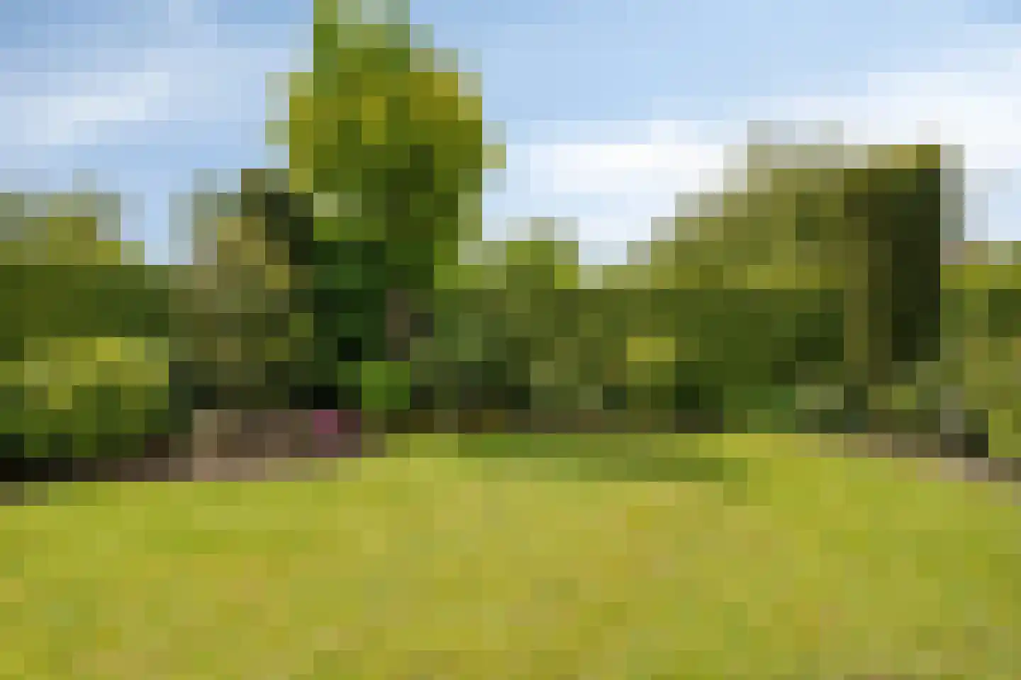Uiverstraat 20 Oldenzaal thumbnail 32