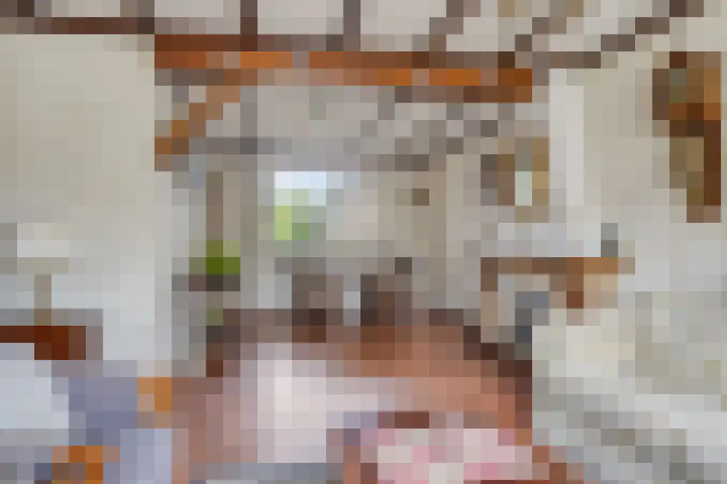 Uiverstraat 20 Oldenzaal thumbnail 8