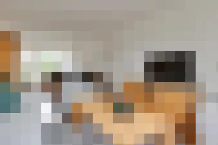 Uiverstraat 3 Azewijn thumbnail 11
