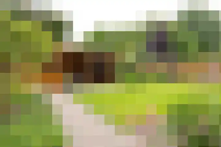 Uiverstraat 3 Azewijn thumbnail 32