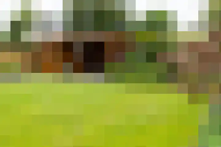 Uiverstraat 3 Azewijn thumbnail 5