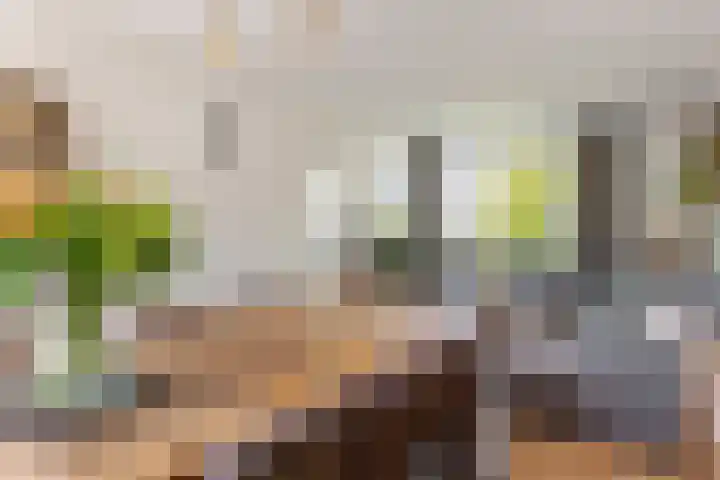 Uiverstraat 5 Maurik thumbnail 14