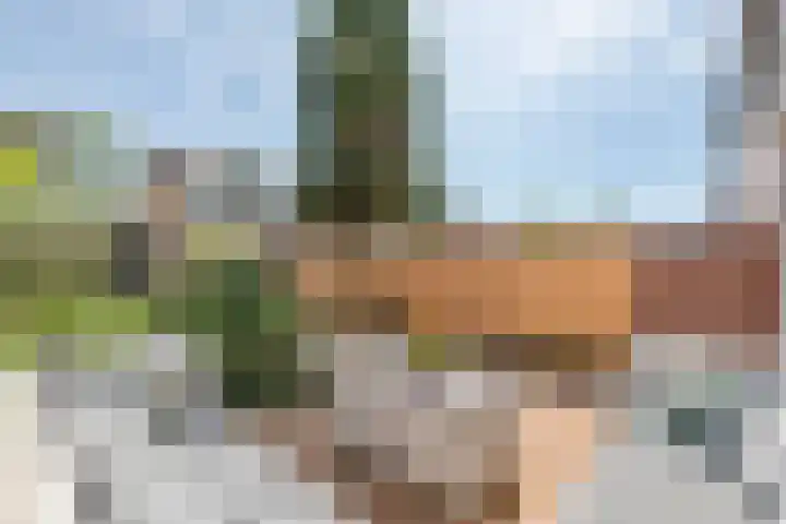Uiverstraat 5 Maurik thumbnail 38