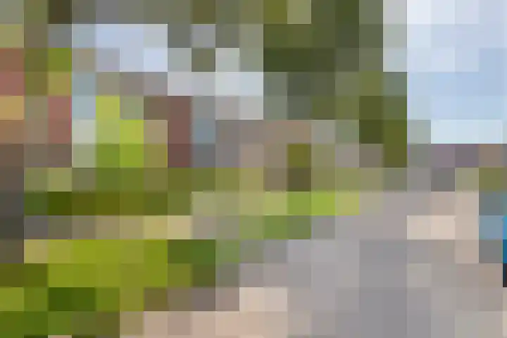 Uiverstraat 5 Maurik thumbnail 41