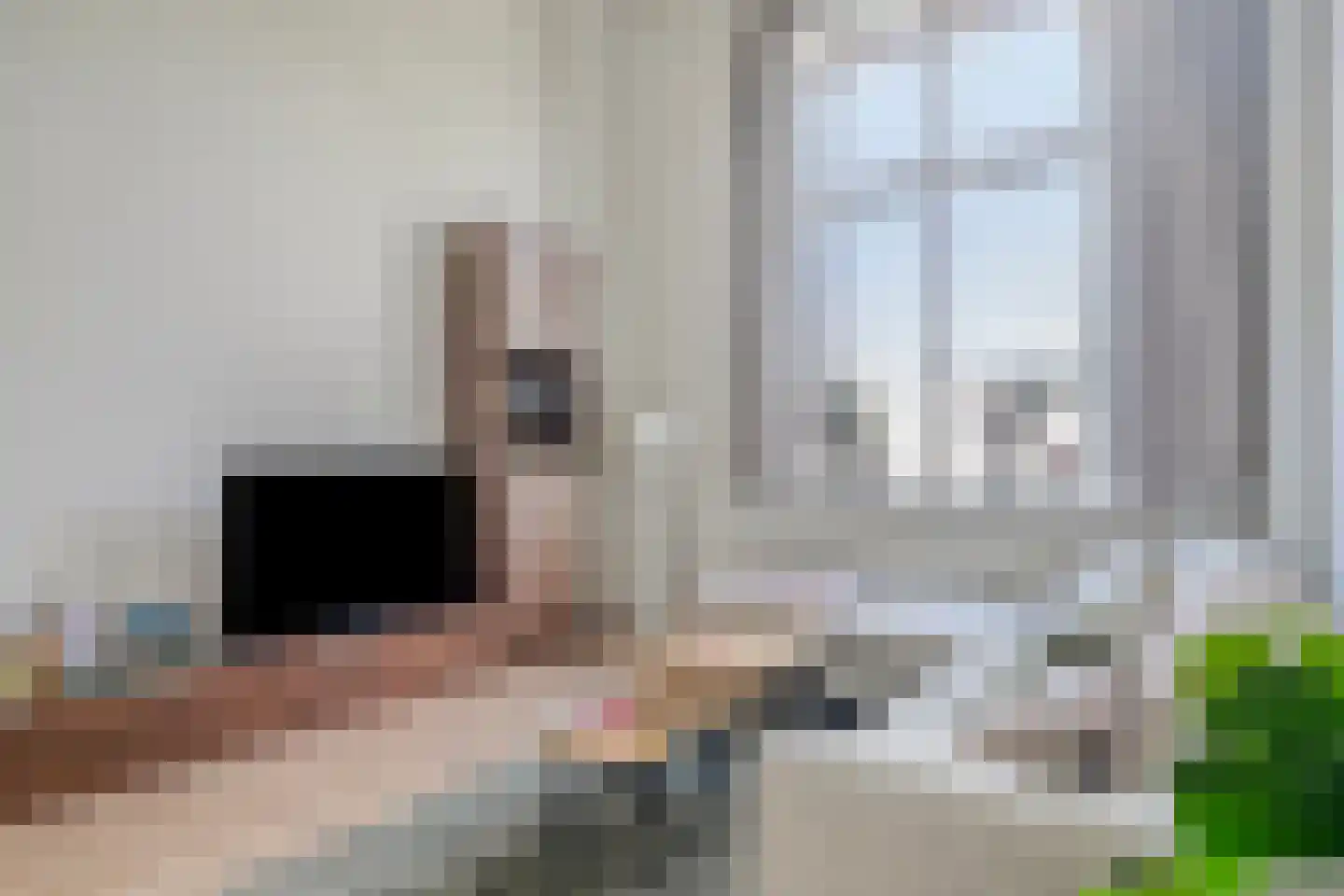 Uiverstraat 98 Veenendaal thumbnail 10