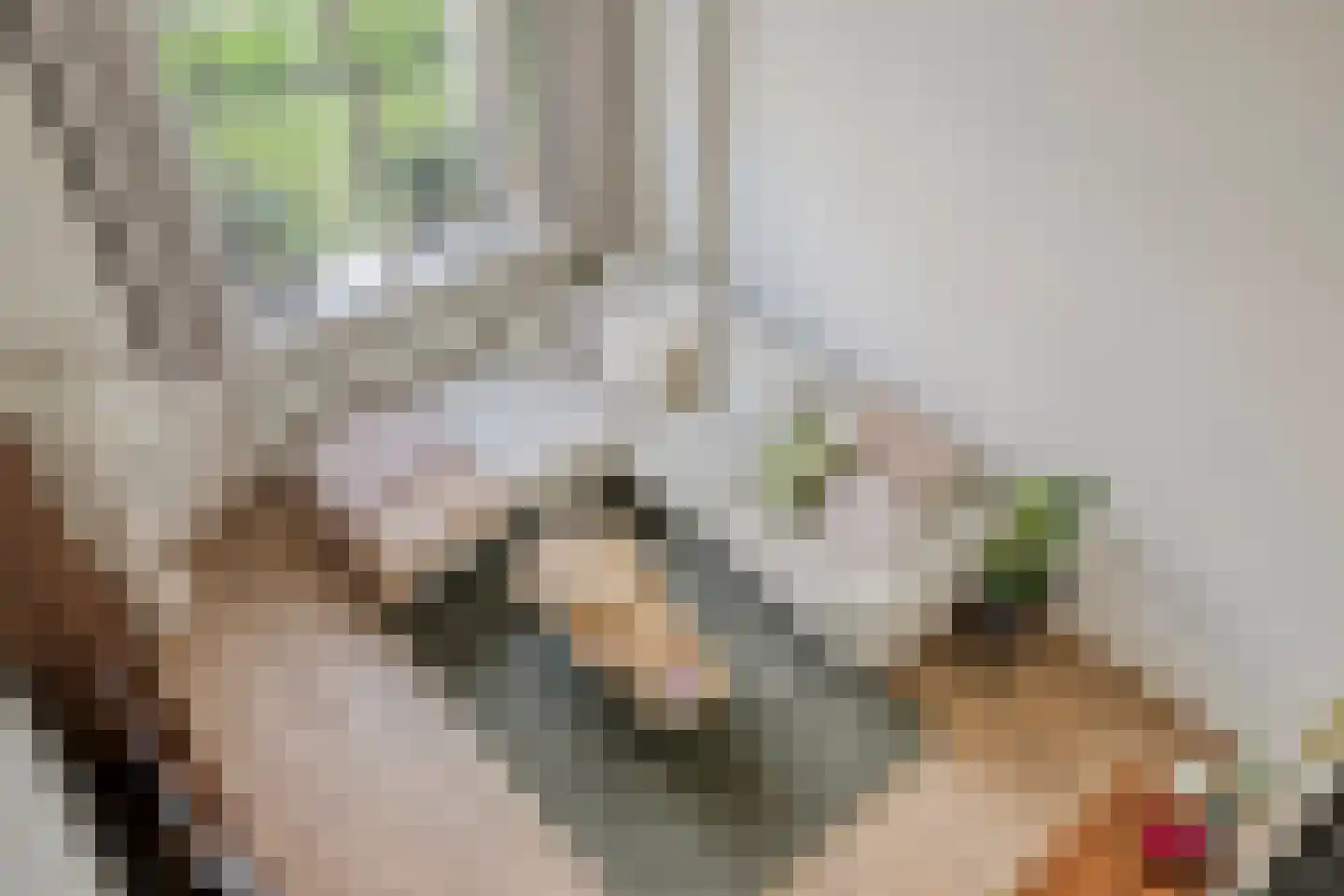Uiverstraat 98 Veenendaal thumbnail 9