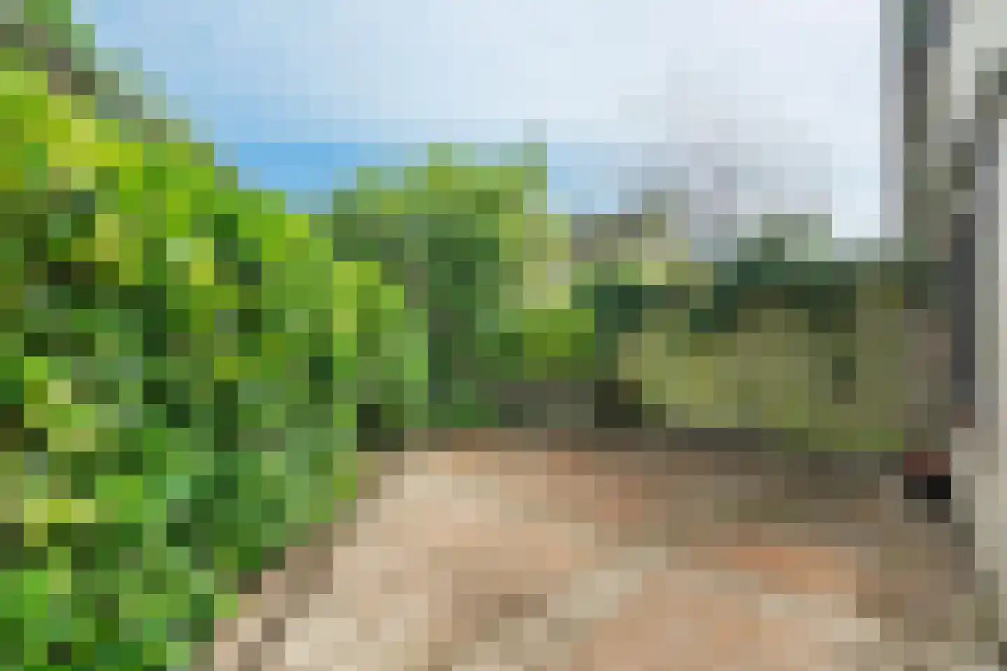 Uiverweide 12 Wageningen thumbnail 23