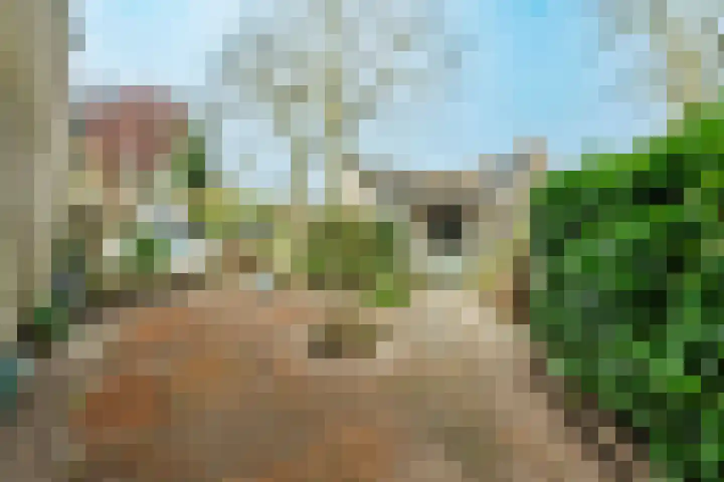 Uiverweide 12 Wageningen thumbnail 24