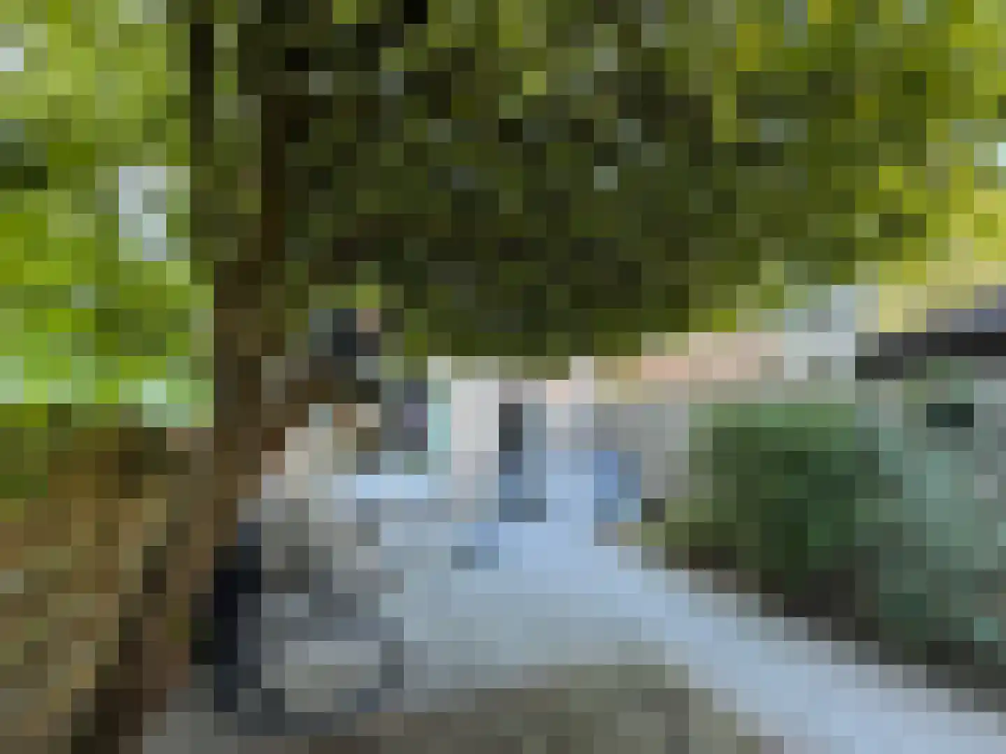 Uiverweide 26 Wageningen thumbnail 36